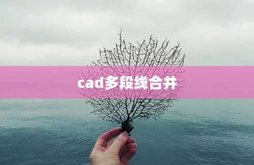 cad多段线合并