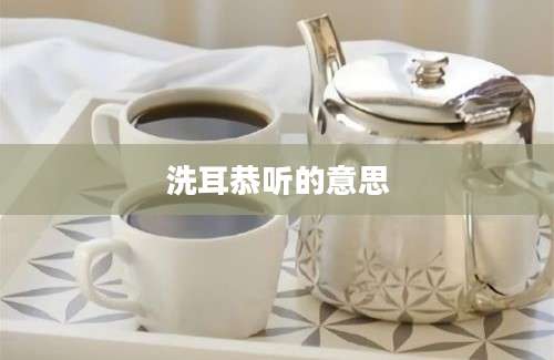 洗耳恭听的意思