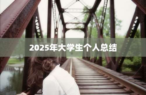 2025年大学生个人总结