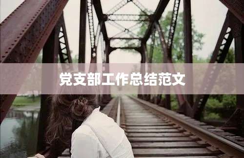 党支部工作总结范文