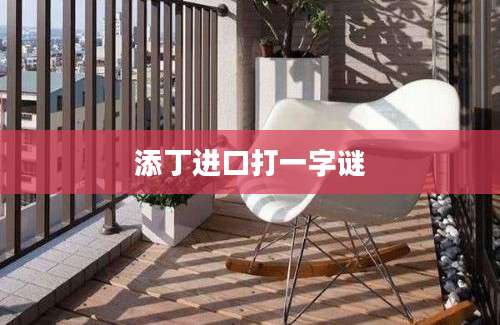 添丁进口打一字谜