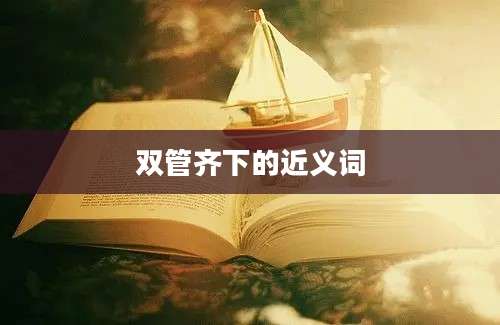 双管齐下的近义词