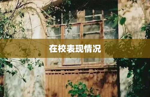 在校表现情况