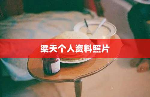 梁天个人资料照片