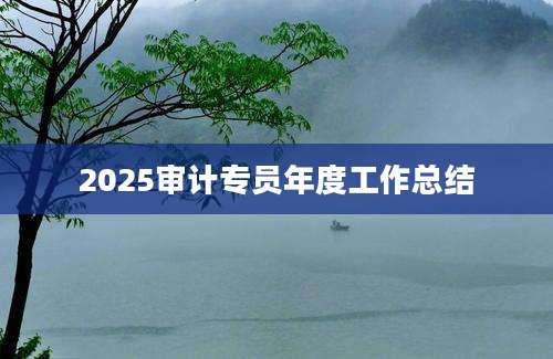2025审计专员年度工作总结