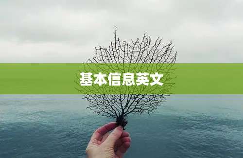 基本信息英文
