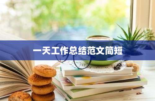 一天工作总结范文简短