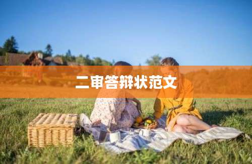 二审答辩状范文