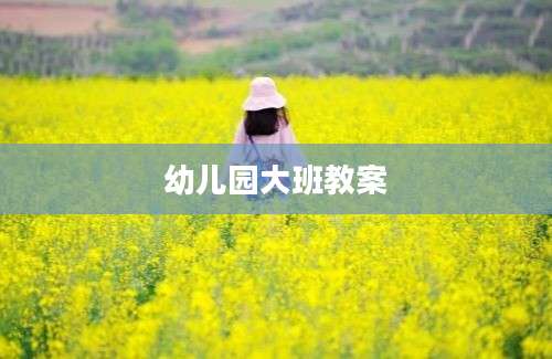 幼儿园大班教案