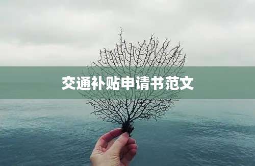 交通补贴申请书范文