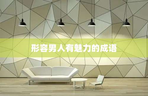 形容男人有魅力的成语