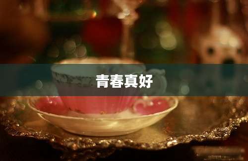 青春真好