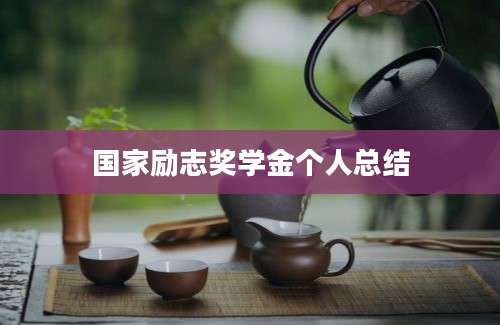 国家励志奖学金个人总结