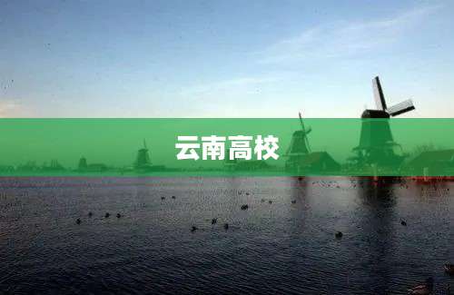 云南高校