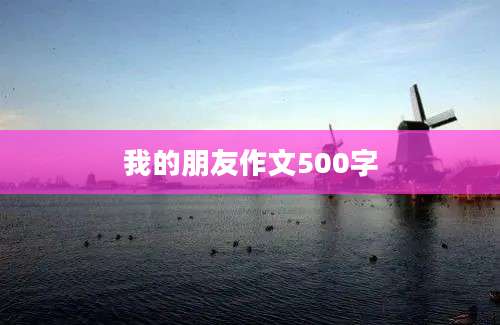我的朋友作文500字