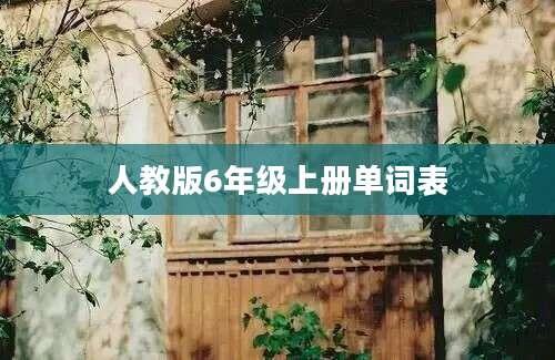 人教版6年级上册单词表