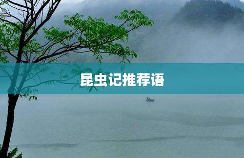 昆虫记推荐语