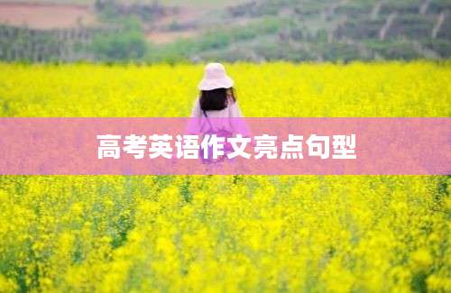 高考英语作文亮点句型