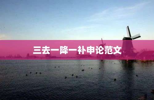 三去一降一补申论范文