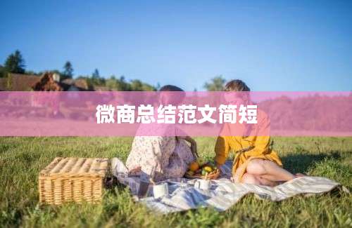 微商总结范文简短