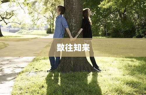 数往知来