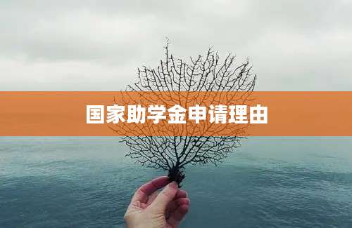 国家助学金申请理由