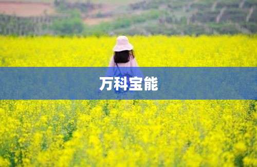 万科宝能