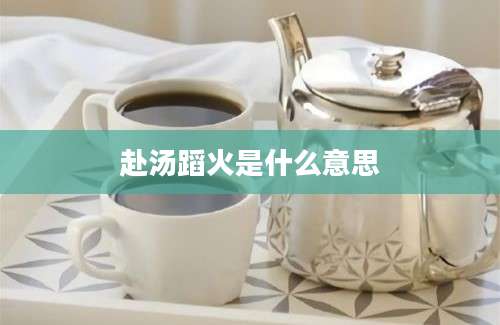 赴汤蹈火是什么意思