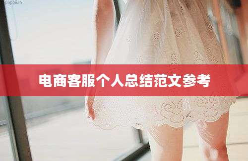 电商客服个人总结范文参考