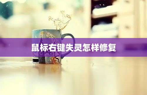 鼠标右键失灵怎样修复