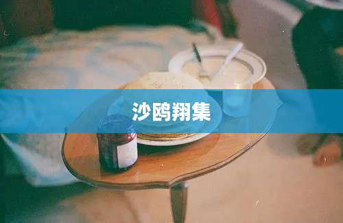 沙鸥翔集