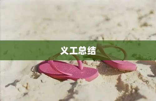义工总结