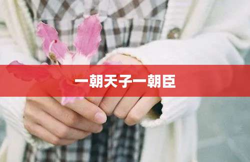 一朝天子一朝臣