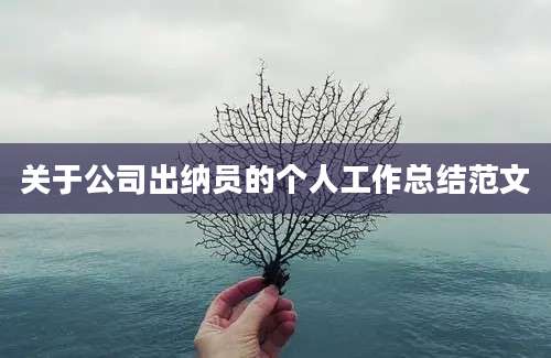 关于公司出纳员的个人工作总结范文