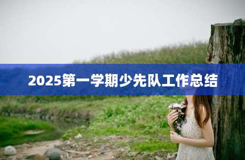 2025第一学期少先队工作总结