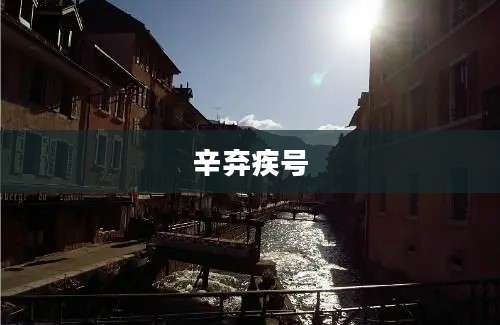 辛弃疾号