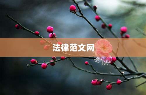 法律范文网