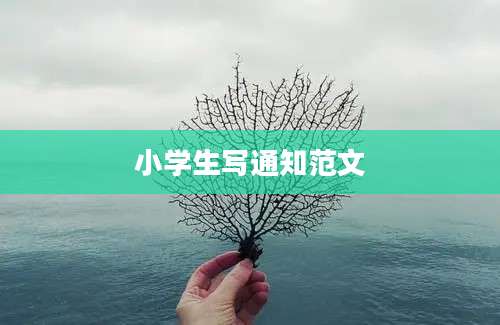 小学生写通知范文