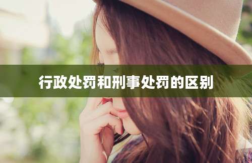 行政处罚和刑事处罚的区别