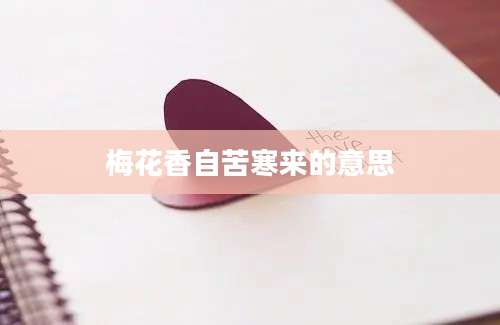 梅花香自苦寒来的意思