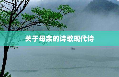 关于母亲的诗歌现代诗