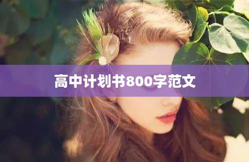 高中计划书800字范文