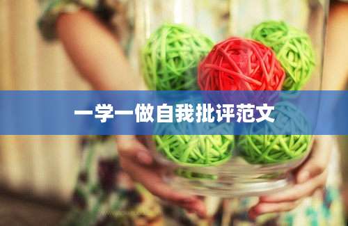 一学一做自我批评范文