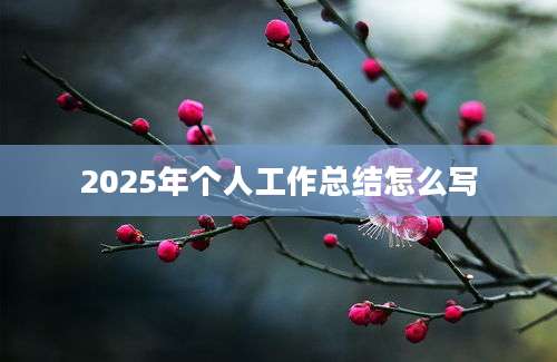 2025年个人工作总结怎么写