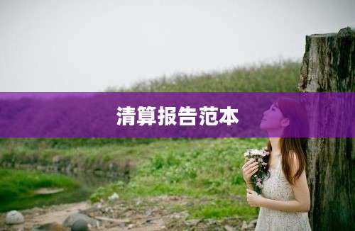清算报告范本