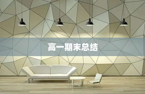高一期末总结