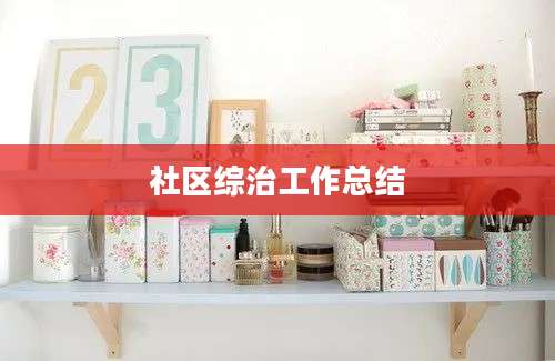 社区综治工作总结