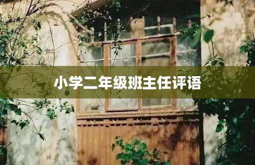 小学二年级班主任评语