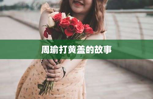 周瑜打黄盖的故事