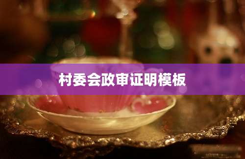 村委会政审证明模板